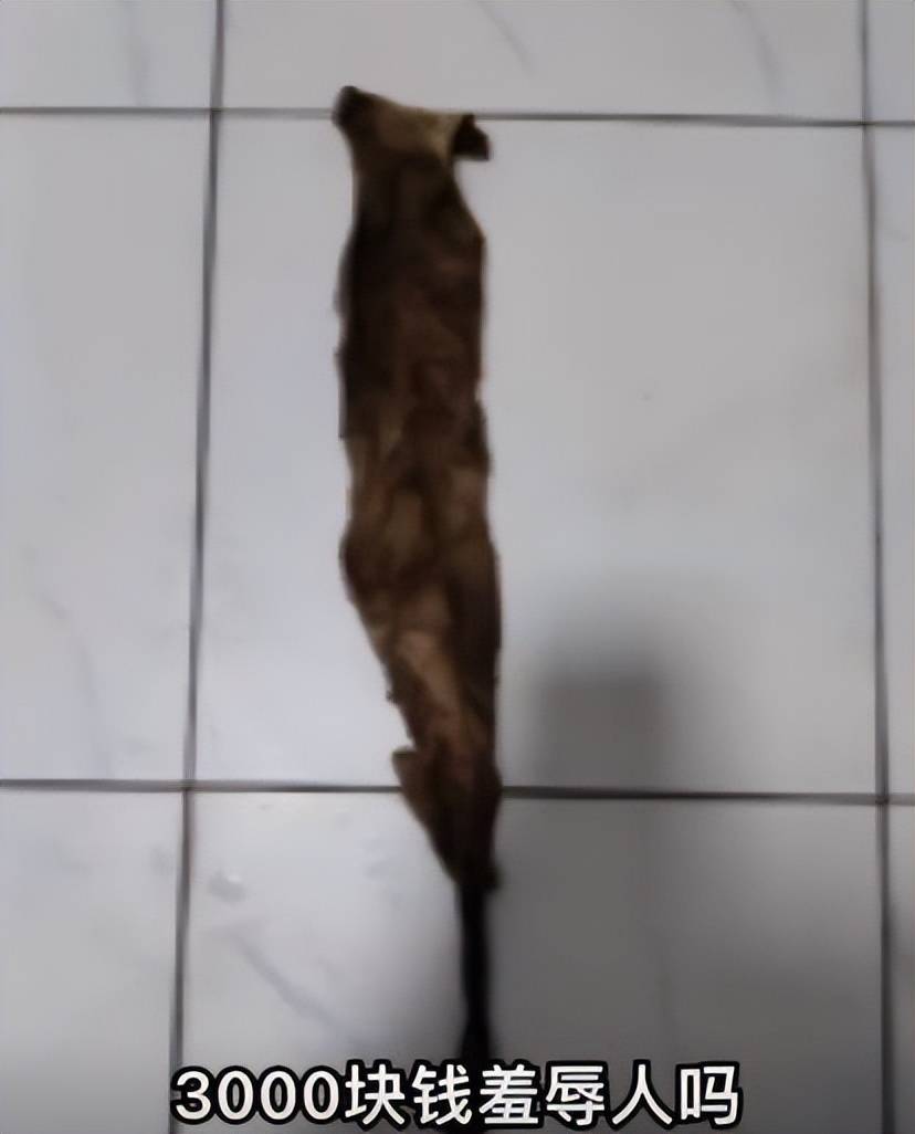 9e1a2cf5fdca4e1097d6974f5d401e7b.jpeg