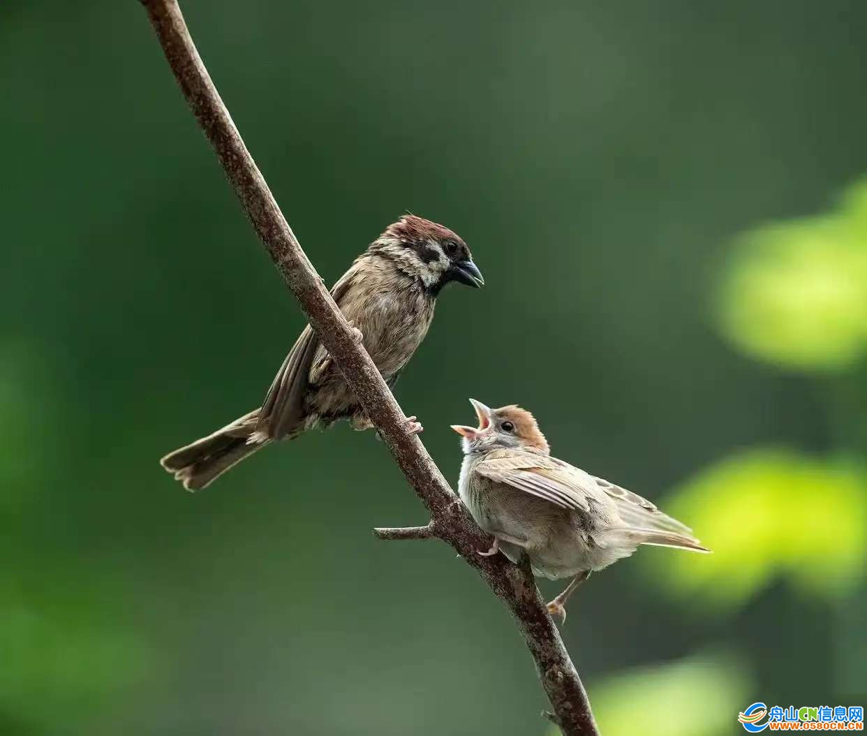 983f8d5184d4404cae06a548695984d2~tplv-tt-origin-web:gif.jpeg?_iz=58558&from=article.jpg