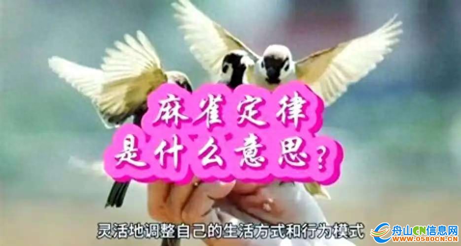 ff77ecb3f17a46ab8971944c054d417e~tplv-tt-origin-web:gif.jpeg?_iz=58558&from=article.jpg