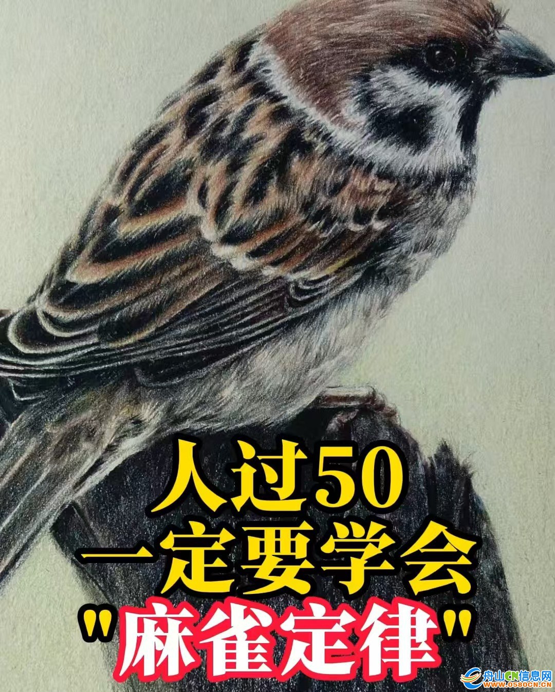 0f517dd61b15441886903ed76c1cb811~tplv-tt-origin-web:gif.jpeg?_iz=58558&from=article.jpg