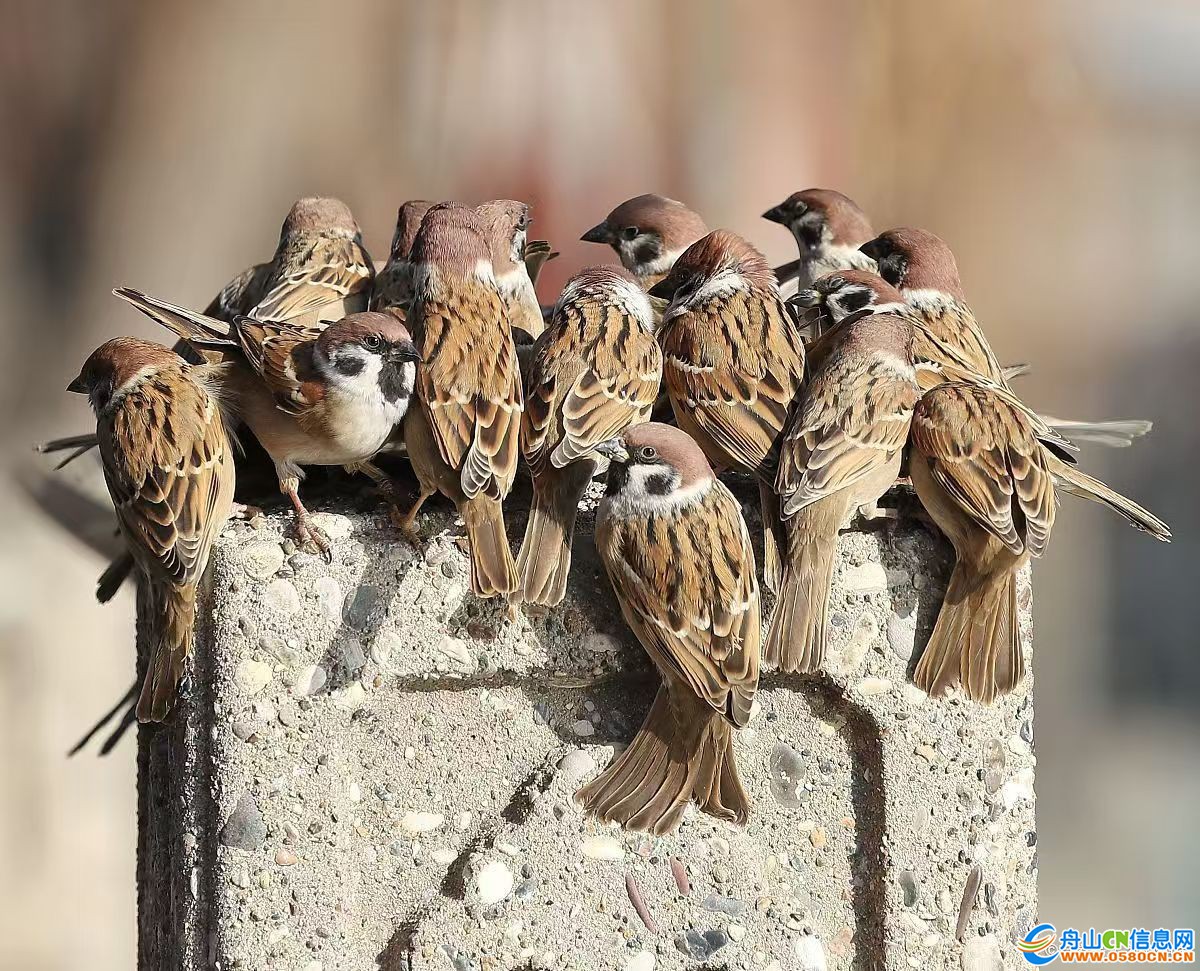 b8397aeb2b864b95b35fa9328a757238~tplv-tt-origin-web:gif.jpeg?_iz=58558&from=article.jpg