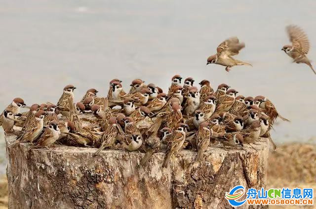 7bb9b0f9859a423599d78ca31e9bfda1~tplv-tt-origin-web:gif.jpeg?_iz=58558&from=article.jpg